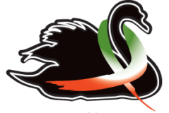 Logo for il Cigno Italiano